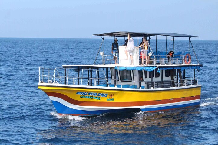 Mirissa Whale Watching (Morning Cruise)